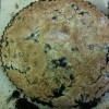 Blueberry tart